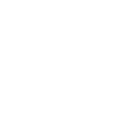 Arch Capital Group