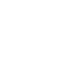 American International Group