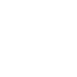 Axon Enterprise