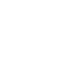 E.l.f. Beauty