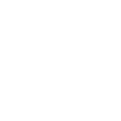 iRobot