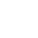 Lucid Group
