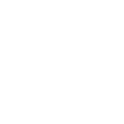 O-I Glass