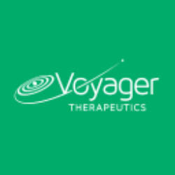 Voyager Technologies