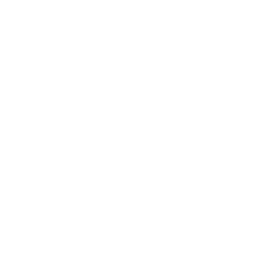 XPeng